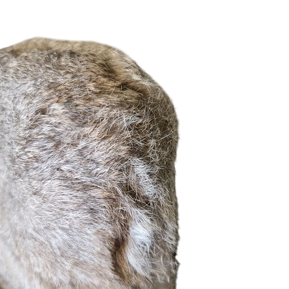 MICHAEL KORS Rabbit Fur Crossbody Bag With Silver Hardware and Black Detailing - Picture 9 of 12